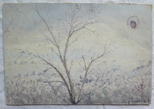 Paesaggio invernale piccolo - invernale,