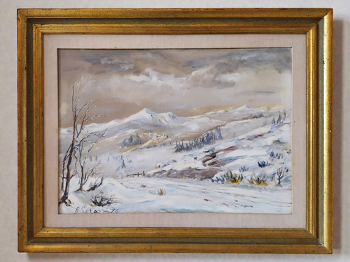 Nevicata paesaggio invernale - nevicata,